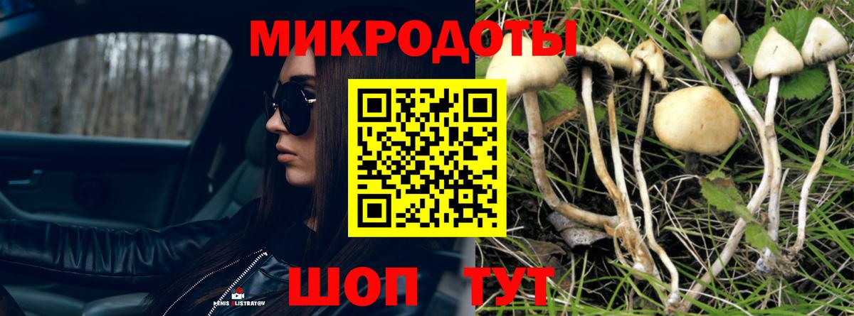 Псилоцибиновые грибы Psilocybine cubensis Топки